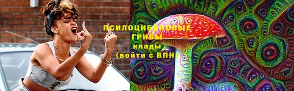 гашик Новозыбков