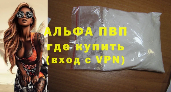 гашик Новозыбков